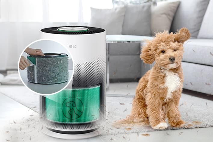 Better air. Less pet hair